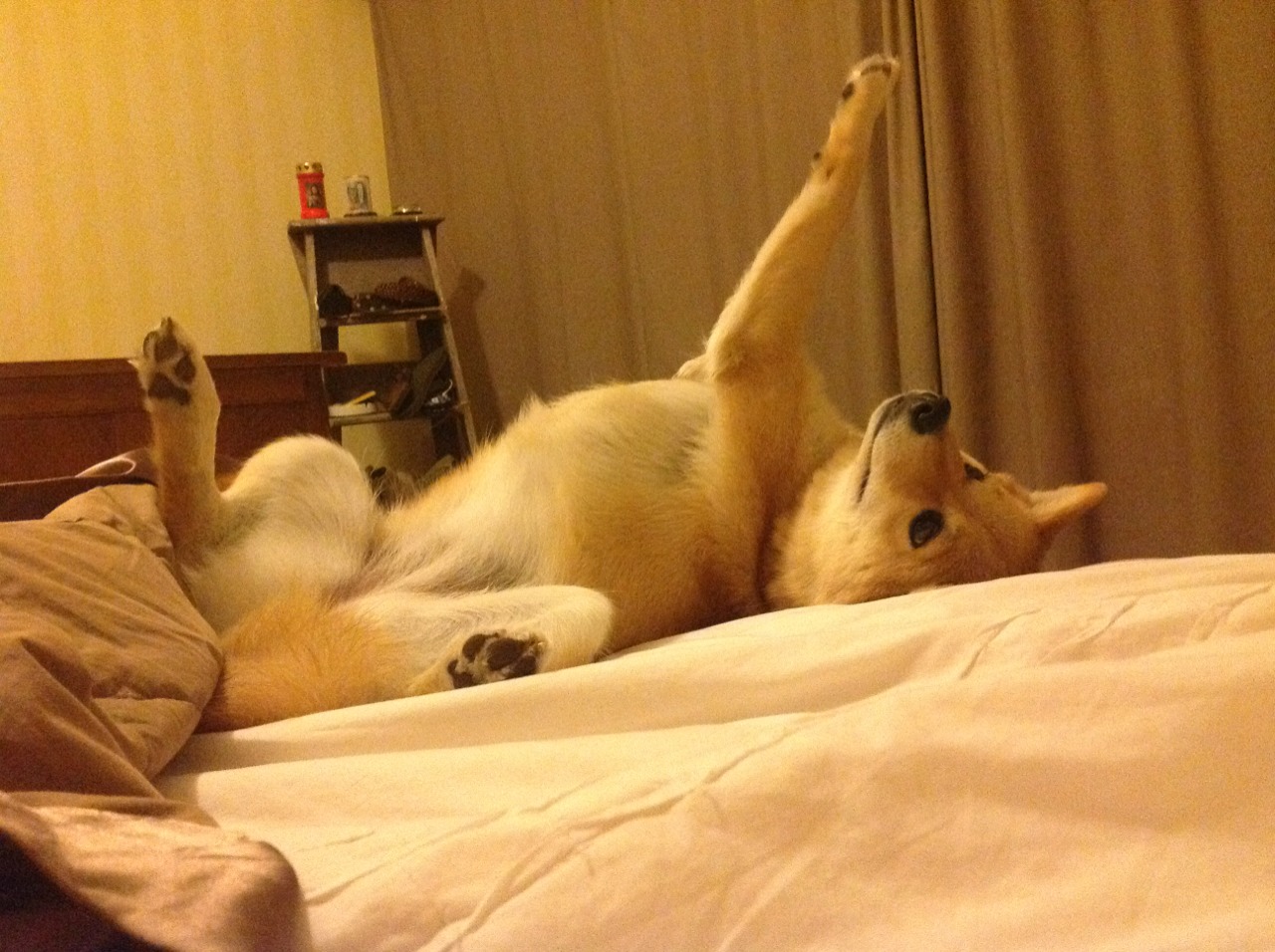 莱奥接管世界排名争夺战，葡萄牙打穿冰岛背后的战术革命与个人英雄主义